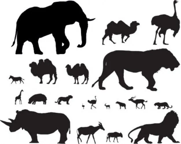 población de vectores animales africanos | Descargar Vectores gratis población de vectores animales africanos | Descargar Vectores gratis