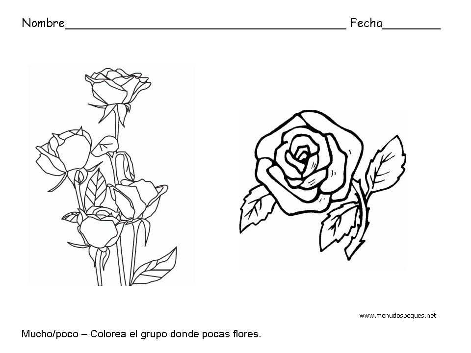 Mucho y poco, flores - Fichas de conceptos básicos Mucho y poco, flores - Fichas de conceptos básicos