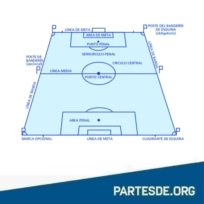 Podrías explicarme la función de cada una de las partes de una cancha de fútbol? - Quora Podrías explicarme la función de cada una de las partes de una cancha de fútbol? - Quora