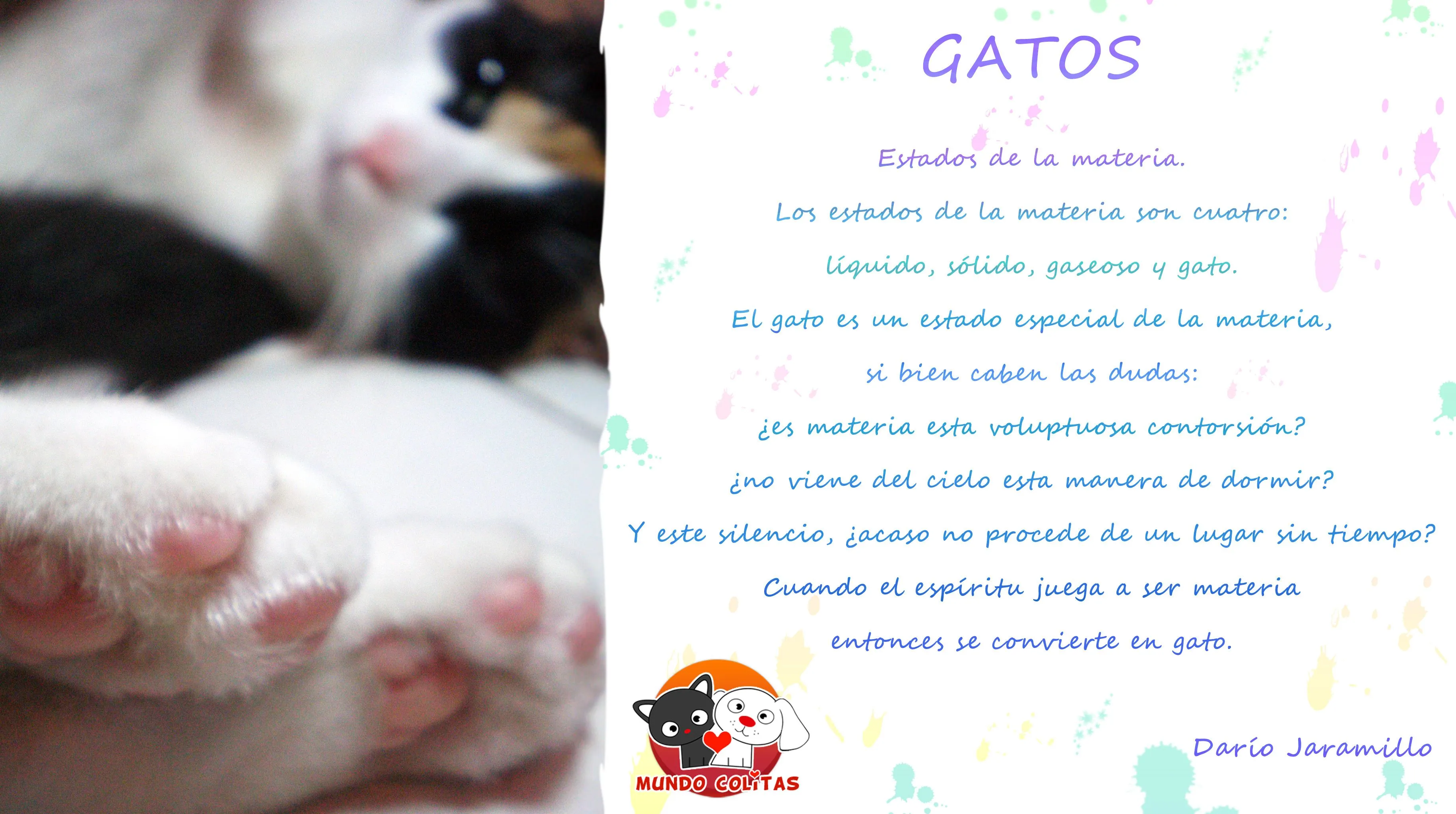 Poema: Gatos por Darío Jaramillo | Mundo Colitas Poema: Gatos por Darío Jaramillo | Mundo Colitas