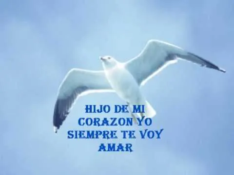 POEMA DE MI HIJO MUERTO - YouTube