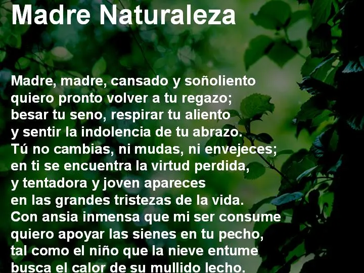 Poema a la naturaleza - Imagui