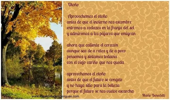 Poema de otoño de Mario Benedeti | Cuqui | Pinterest | Mario Poema de otoño de Mario Benedeti | Cuqui | Pinterest | Mario