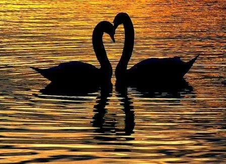 Tú me haces sentir amada | Entre Poemas y Vivencias Tú me haces sentir amada | Entre Poemas y Vivencias