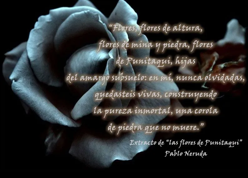 Poemas A Una Abuela Fallecida - Invitation Samples Blog