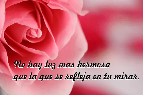 Poemas de amor cortos para enamorar, imagenes, postales ...