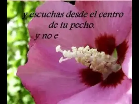 Poemas de amor cortos - Frases para enamorar - YouTube Poemas de amor cortos - Frases para enamorar - YouTube