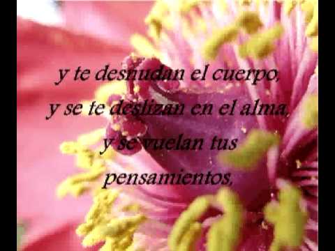 poemas de amor cortos - YouTube