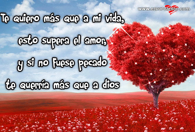 Poemas de amor especiales para dedicar a tu pareja Poemas de amor especiales para dedicar a tu pareja