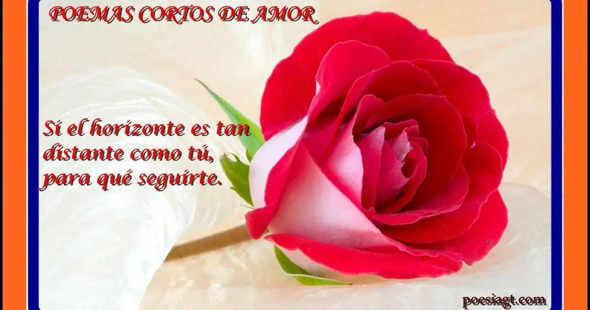 POEMAS DE AMOR: POEMAS CORTOS DE AMOR