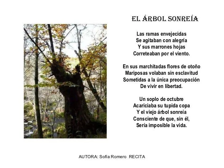 Poemas sobre el árbol