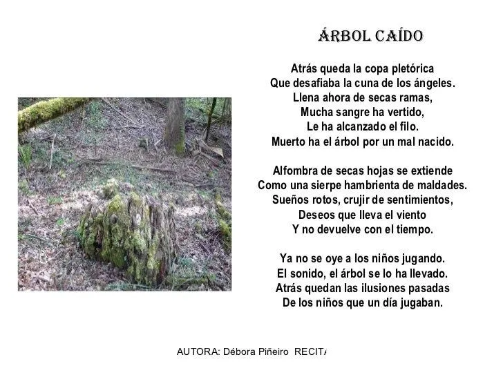 Poemas sobre el árbol