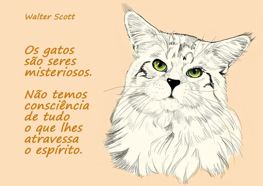 poemas | Le chat dans tous ses états - Gatos... gatinhos e ... poemas | Le chat dans tous ses états - Gatos... gatinhos e ...