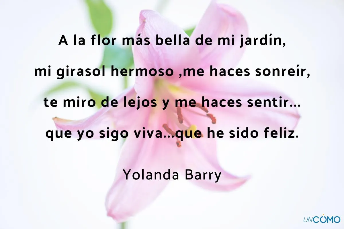 Poemas de flores - ¡La mejor selección de poesías originales y cautivadores  de poetas clásicos!