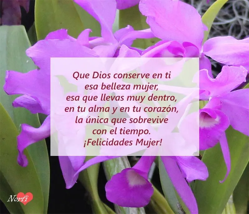 Poemas, frases e imágenes de homenaje y felicitación a la mujer Poemas, frases e imágenes de homenaje y felicitación a la mujer