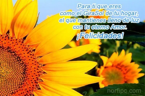 Poemas, frases e imágenes de homenaje y felicitación a la mujer Poemas, frases e imágenes de homenaje y felicitación a la mujer