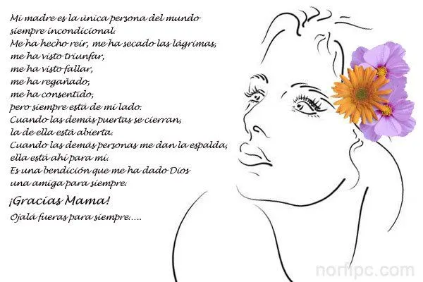 Poemas, frases e imágenes de homenaje y felicitación a la mujer Poemas, frases e imágenes de homenaje y felicitación a la mujer