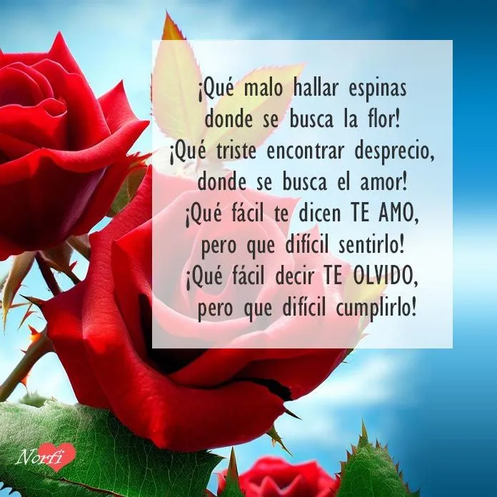 Poemas e imágenes de amor y dolor para Facebook