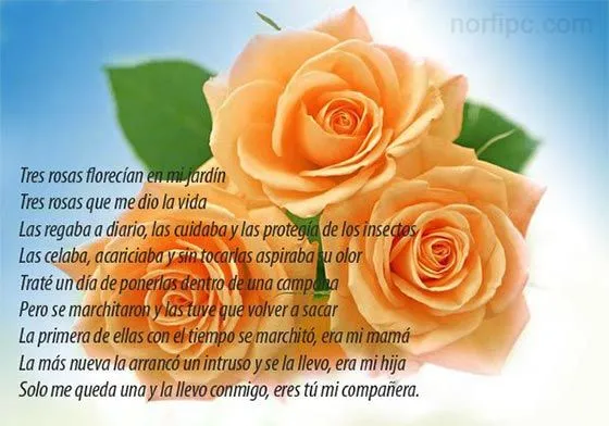 Poemas e imágenes de amor y dolor para Facebook Poemas e imágenes de amor y dolor para Facebook