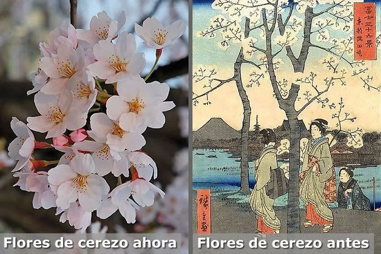 Poemas en Japonés Antiguo | Puentes y cielos y todo lo que haya en ...