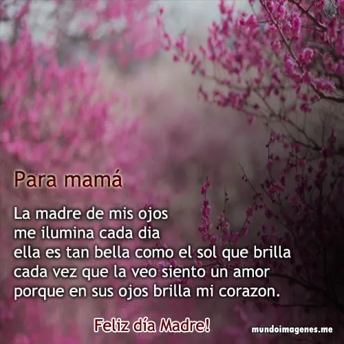 Poemas Para El Dia De La Madre Bonitas Con Imagenes - Mundo ...