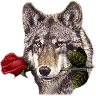 mis poemas y mi musica: El lobo de el amor