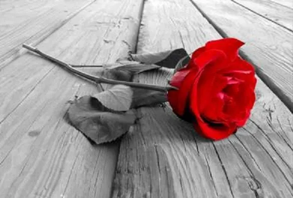 Poemas y Pensamientos | Sueños, Imaginaciones y Pensamientos en ... Poemas y Pensamientos | Sueños, Imaginaciones y Pensamientos en ...