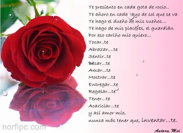 Poemas, poesia y versos de amor romanticos y lindos para Facebook