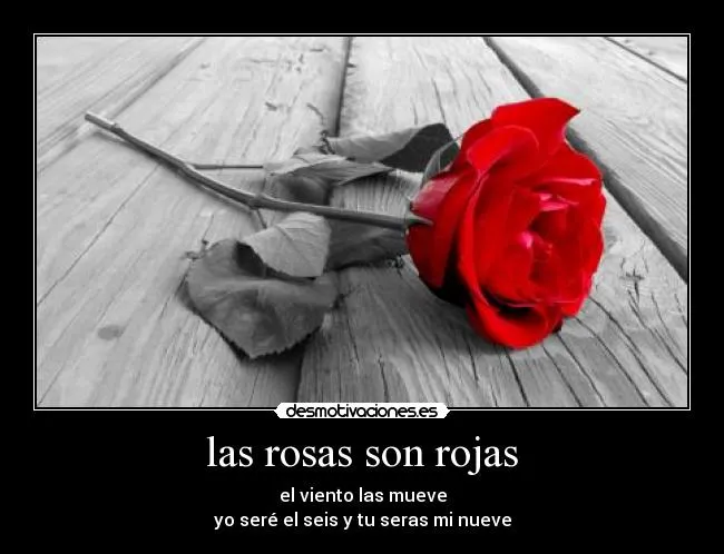 las rosas son rojas | Desmotivaciones