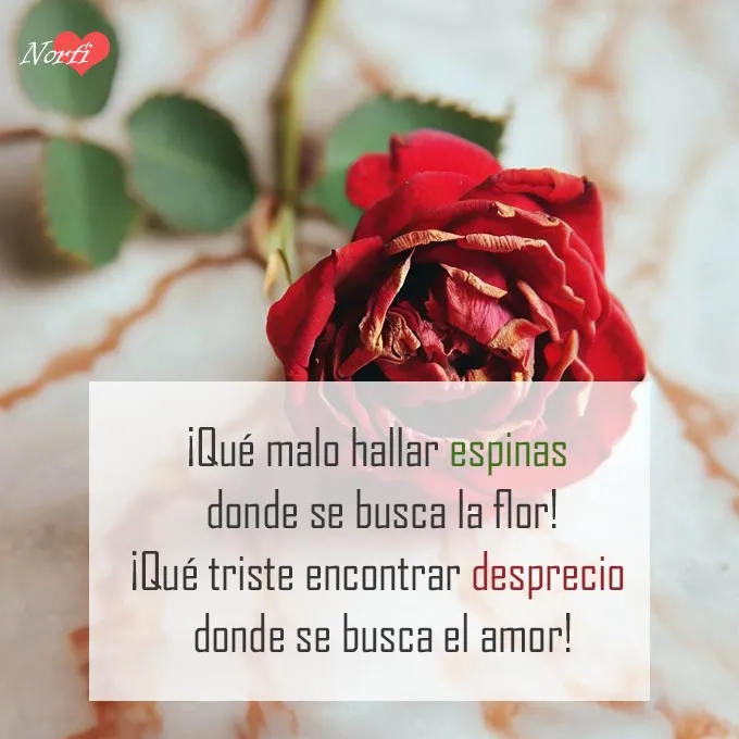 Poemas y versos cursis de amor cortos para Facebook