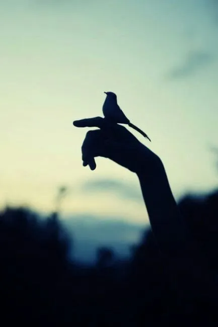 Poemas Vía Susurro