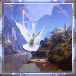 Poemas de zaruman: Esa paloma puede ser mía