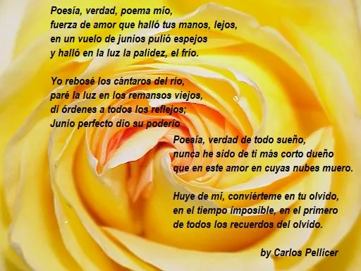 POESIA BRUJACHARRA29: Poesía Letrero