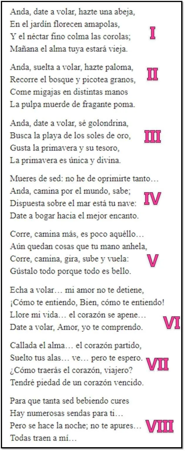 Poesia de 8 estrofas?? Fácil de aprender!!! - Brainly.lat