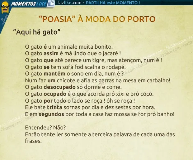 Poesia gato - Imagui