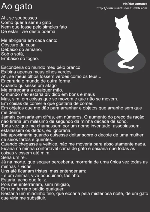 Poemas sobre gatos - Imagui