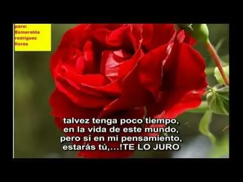 ESTA POESIA A MI HIJA ESROFLOR 720X400.).wmv - YouTube