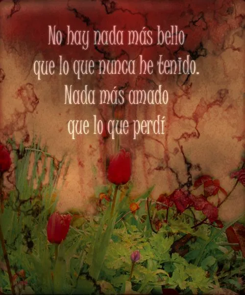 Poesía inspiradora: Vuela esta canción para ti, Lucía Poesía inspiradora: Vuela esta canción para ti, Lucía