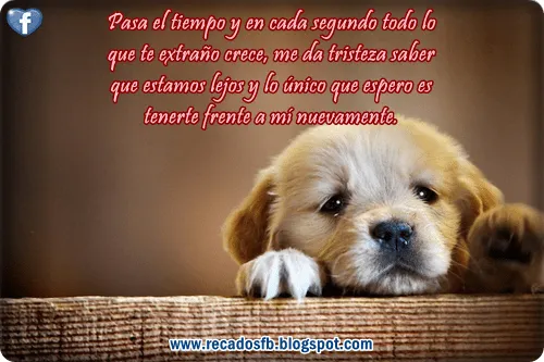 Poesía : mayo 2015