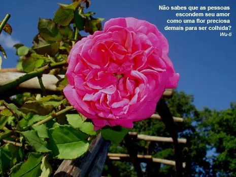 Poesias de amor - Imagui