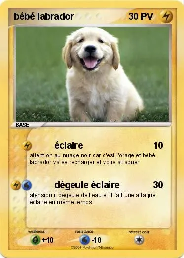Pokémon bébé labrador - éclaire - Ma carte Pokémon Pokémon bébé labrador - éclaire - Ma carte Pokémon