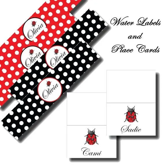 POLKA DOT mariquita fiesta de cumpleaños o por LeslieMarieDesigns POLKA DOT mariquita fiesta de cumpleaños o por LeslieMarieDesigns