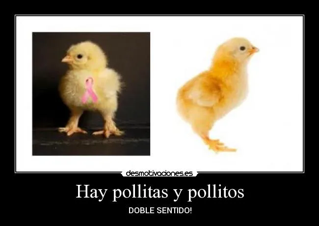 Hay pollitas y pollitos | Desmotivaciones