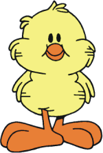 Pollito?