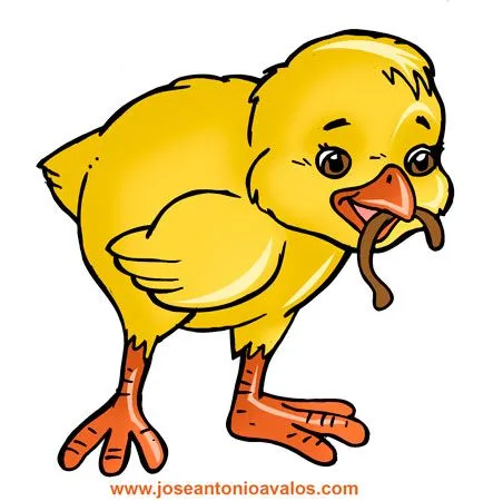 Pollito caricatura - Imagui