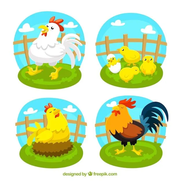 Pollito | Fotos y Vectores gratis