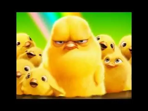 el pollito pio loquendo - YouTube