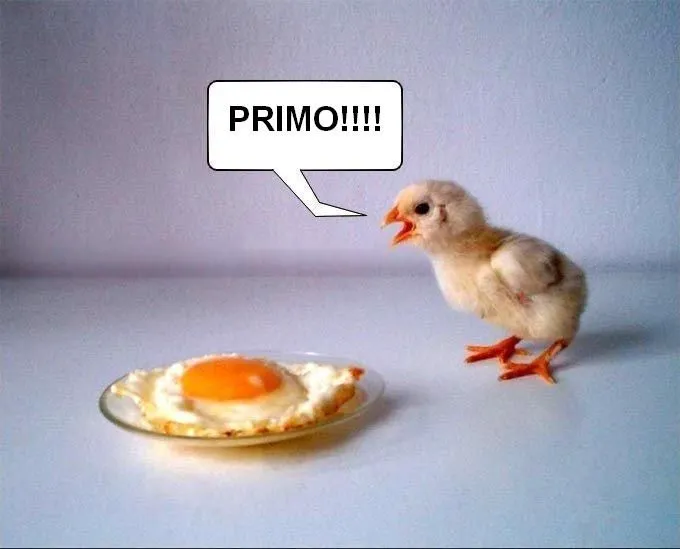 pollito triste by Dark-sensei on deviantART pollito triste by Dark-sensei on deviantART