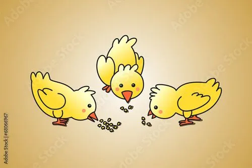 Pollitos comiendo maiz" Imágenes de archivo y vectores libres de ...