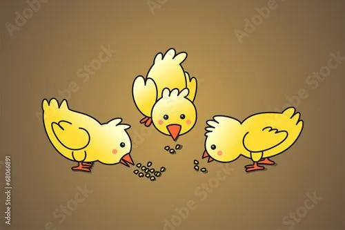 Pollitos comiendo maiz" Imágenes de archivo y vectores libres de ...
